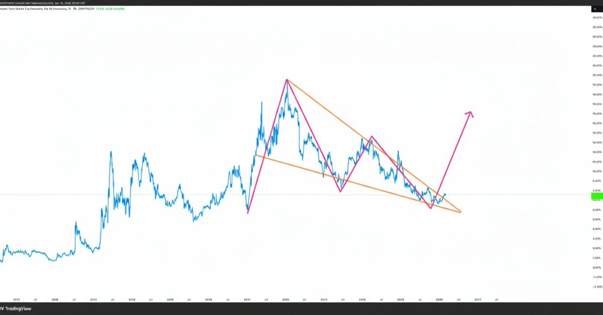 1000xgirl tweet media