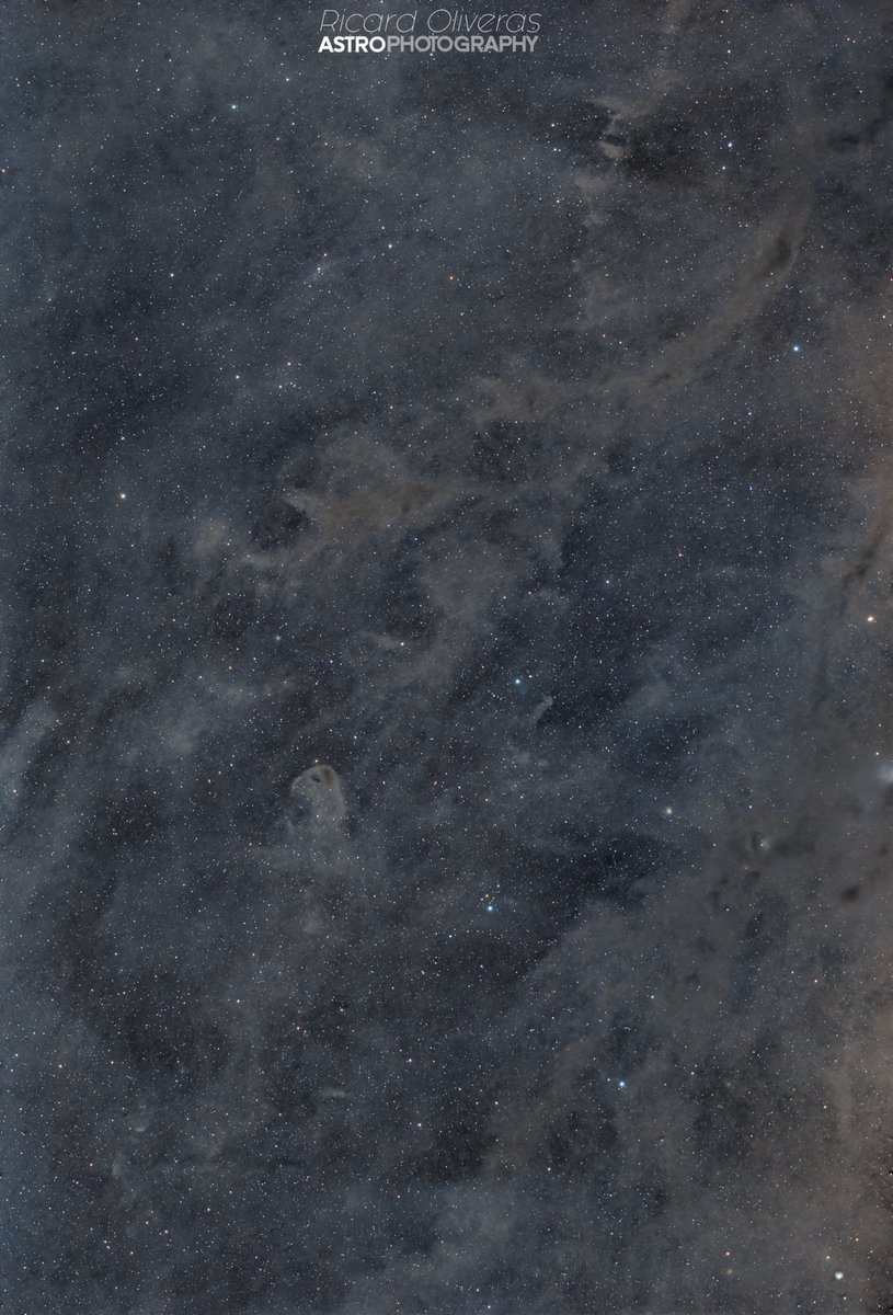 ricard oliveras tweet media