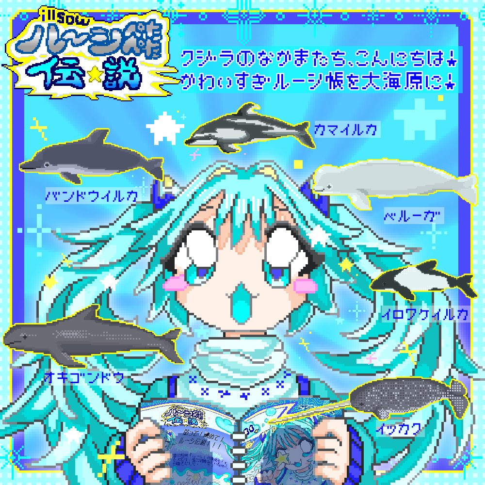 イルカ装身具メーター tweet media