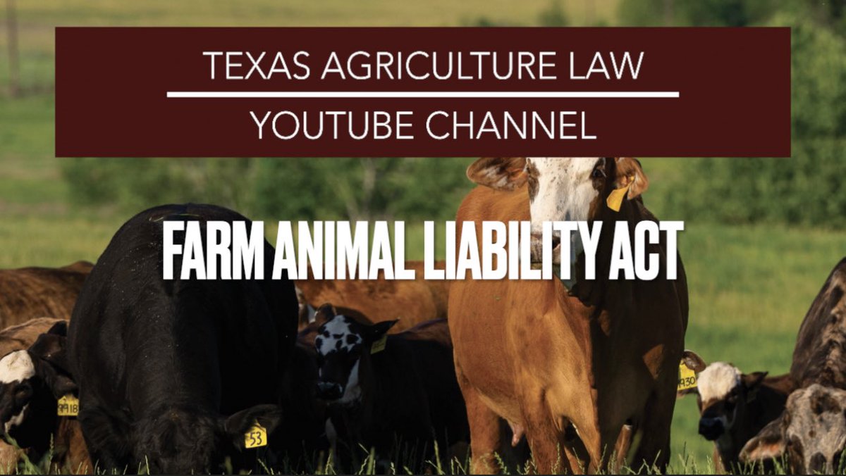 TiffanyDowellLashmet tweet media