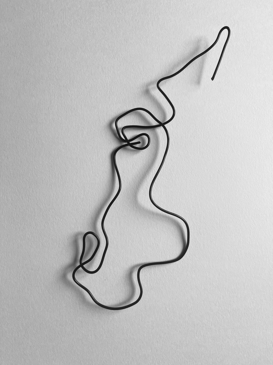 quibelog's tweet image. 8/365 
Combien de vide peut supporter une ligne avant de cesser d'être un cheval ? Une oreille pour amorce, le fer chute et l'imagination prend le relais.

#MinimalisteNarratif #WireArt #365DaysChallenge #OneLine