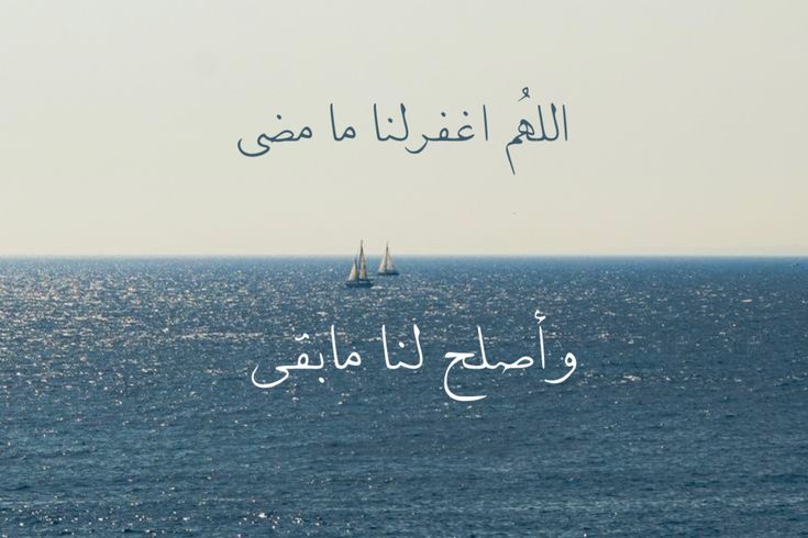 Great_Phr's tweet photo. https://t.co/GeqIf4wamt
