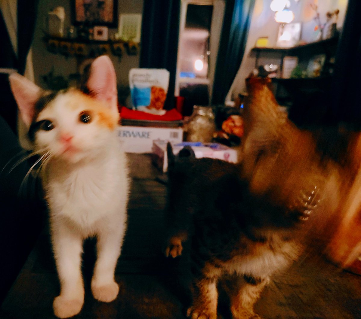 I always laugh when Anakin kills the younglings, I should probably be horrified, but I'm not.