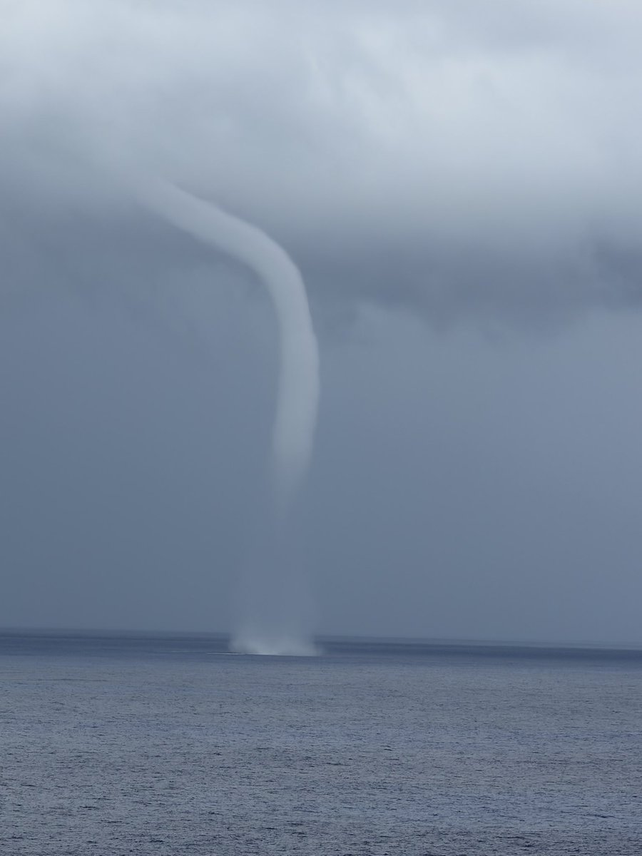 John Purvis tweet media