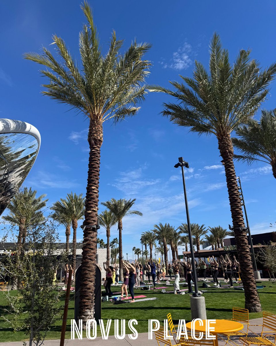 Novus Innovation Corridor tweet media