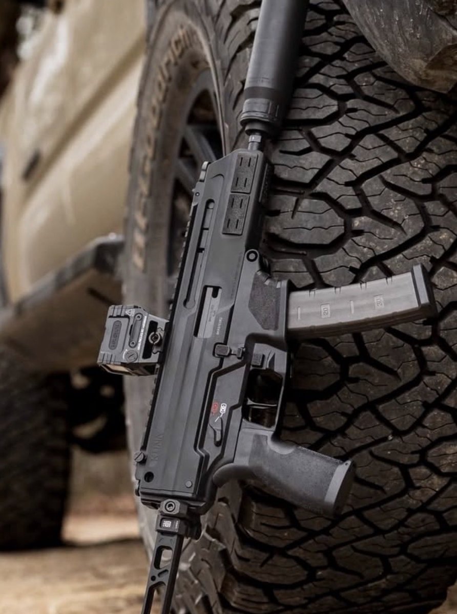 🔥AEMS PRO SUB GUN