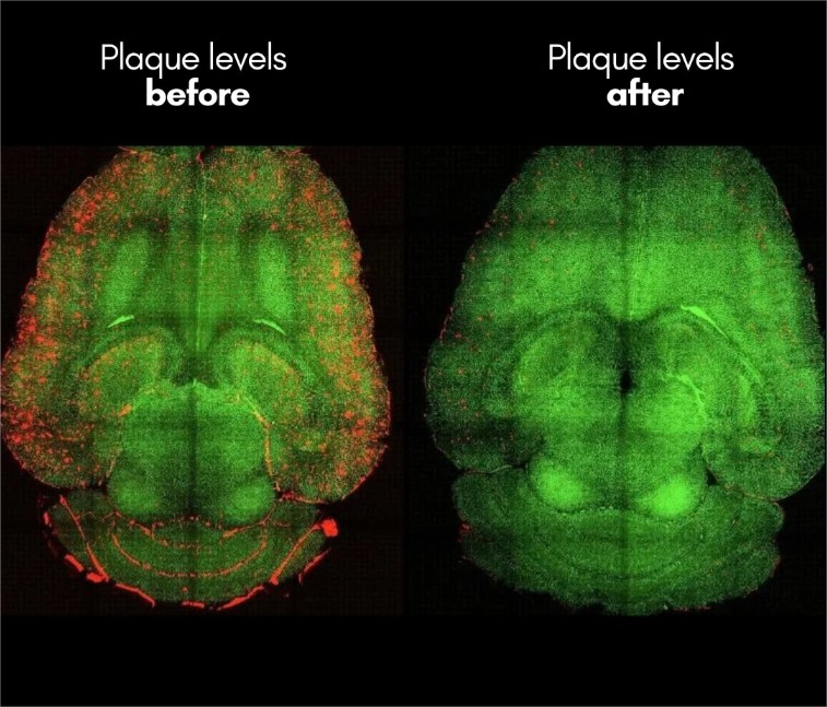 All day Astronomy tweet media