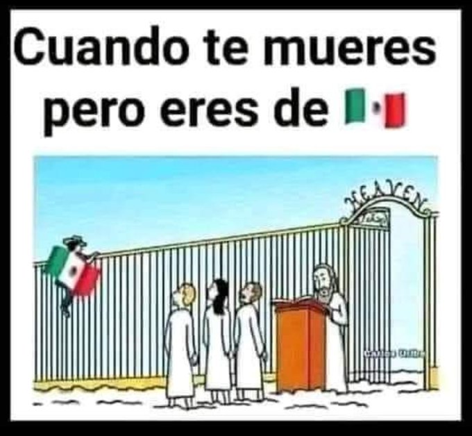 Alan 🇦🇷⭐️⭐️⭐️ tweet media