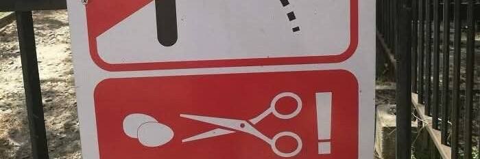 السير عـامر tweet media