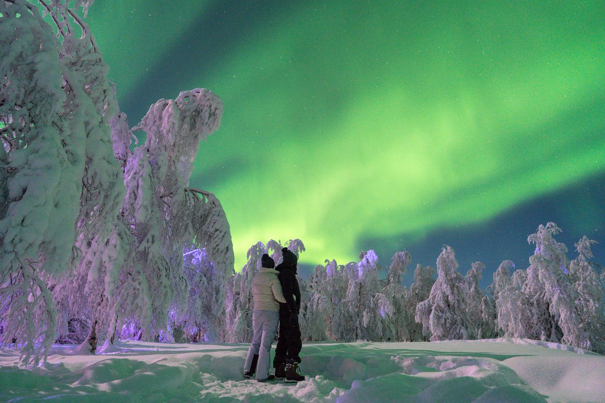 Axel Hardy tweet media