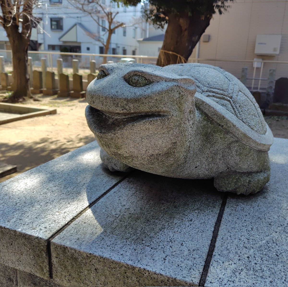 おはようございます☔
今日は雨でどんよりですがお仕事がんばるぞー！

名前に惹かれて我孫子の北星神社を参拝✨️
妙見菩薩を尊崇する神社で明治まで妙見宮と呼ばれていました。
妙見の神使が玄武なので狛亀がいますが個性的でかわいい😆

御朱印は柴崎神社でお書入れしていただきました。
