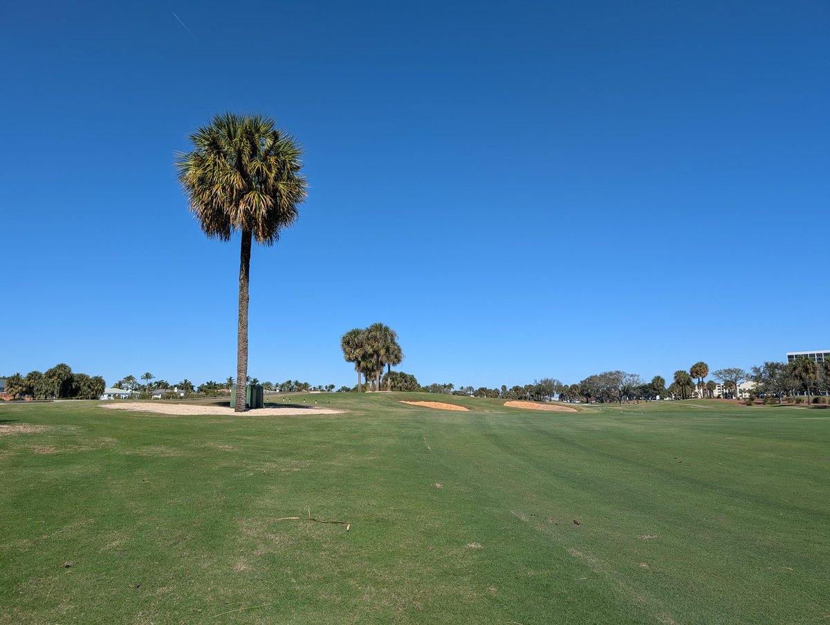 I am a drummer tweet media