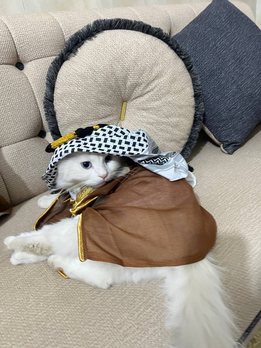 مادي كلاين🦔💀 tweet media