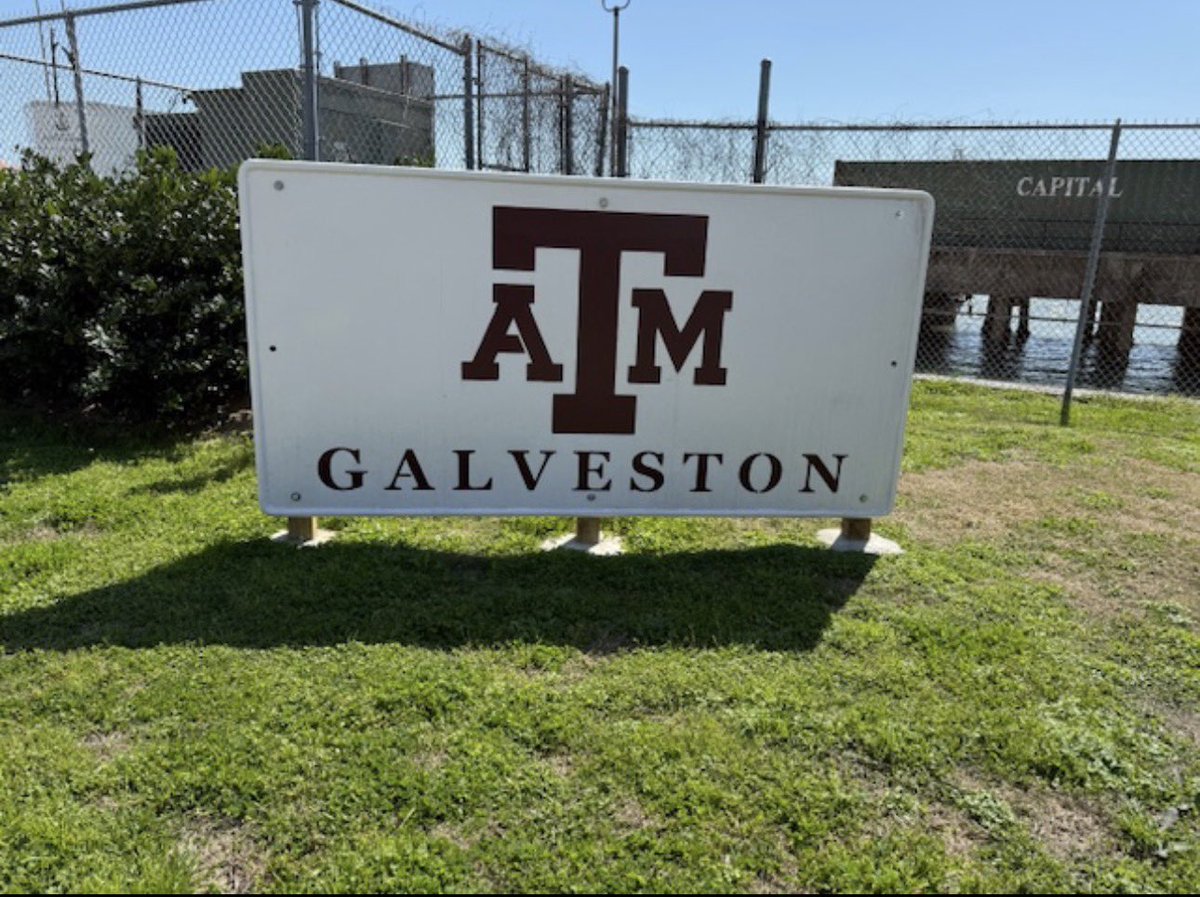 OCE_BlueJays's tweet photo. 5th grade had an amazing field trip today! (In a fancy bus, no less) Sea Camp is cool! 🐢 🦈 🚌 @AggiesByTheSea #GulfGuardians #FBISDLevelUp #PremierOpportunities #LevelUp https://t.co/rdm07C0zy1