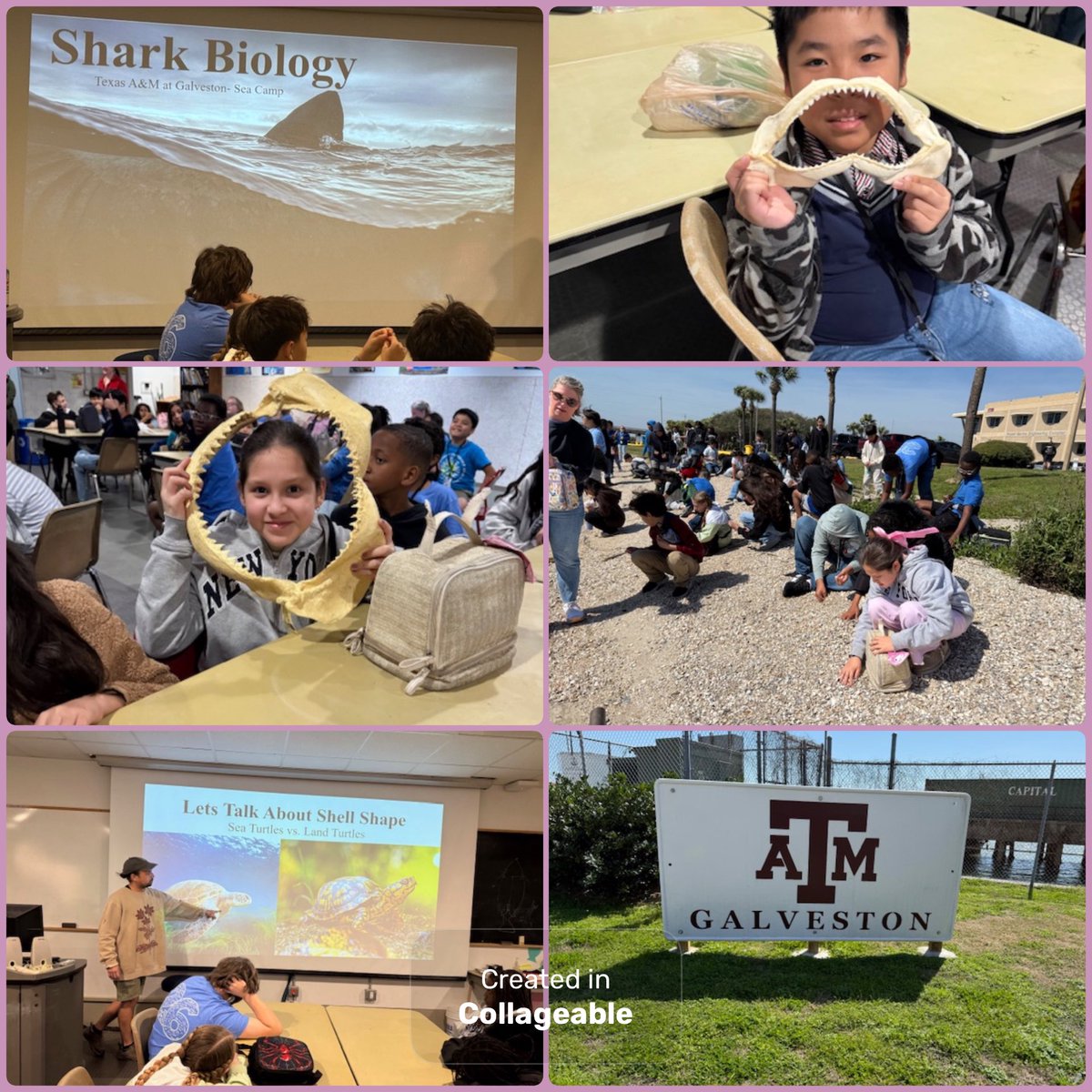 OCE_BlueJays's tweet photo. 5th grade had an amazing field trip today! (In a fancy bus, no less) Sea Camp is cool! 🐢 🦈 🚌 @AggiesByTheSea #GulfGuardians #FBISDLevelUp #PremierOpportunities #LevelUp https://t.co/rdm07C0zy1