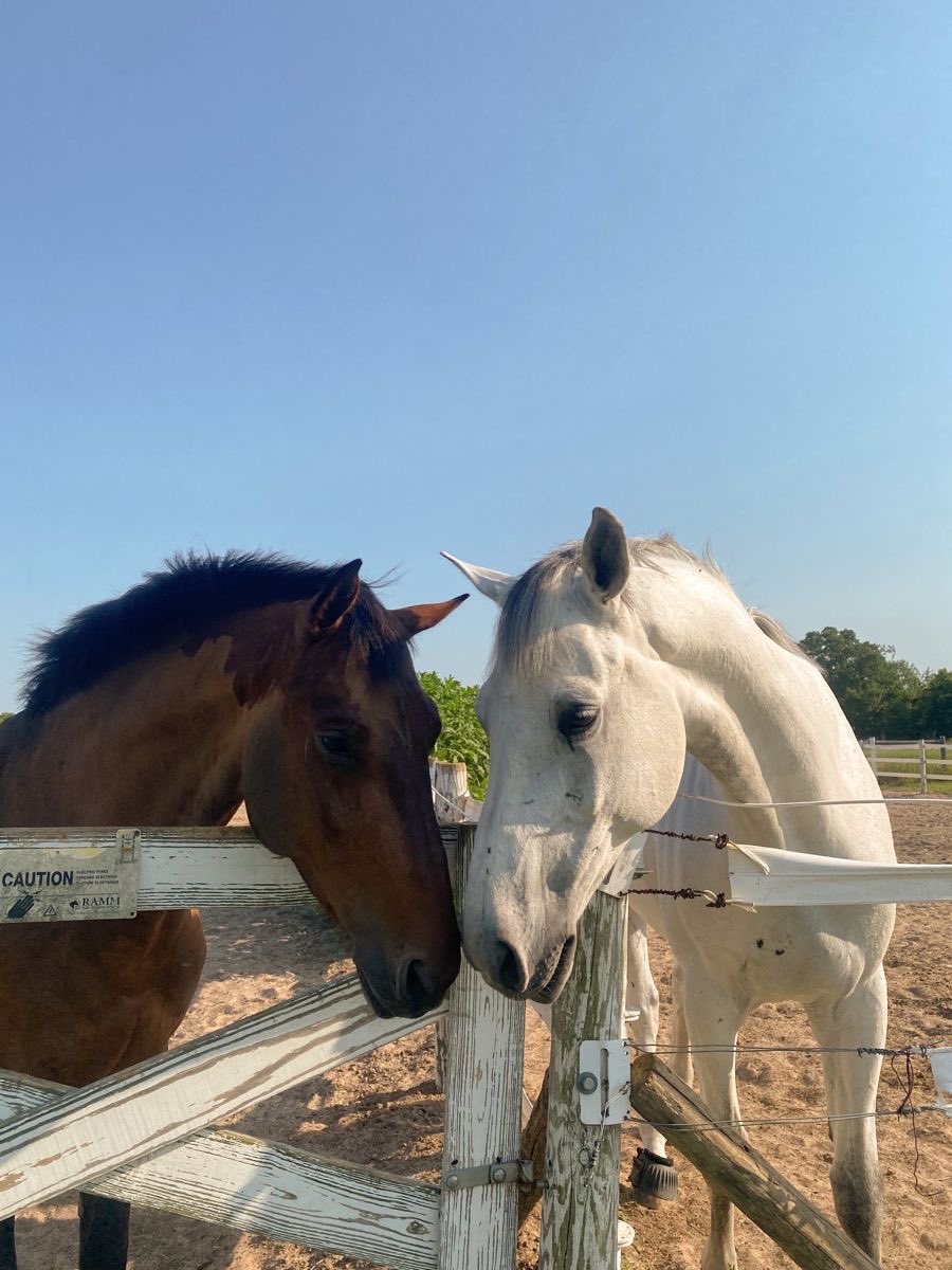 بحر 🌊 (@butterflless) on Twitter photo 