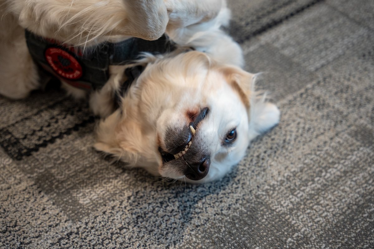 Ohio State A&P tweet media