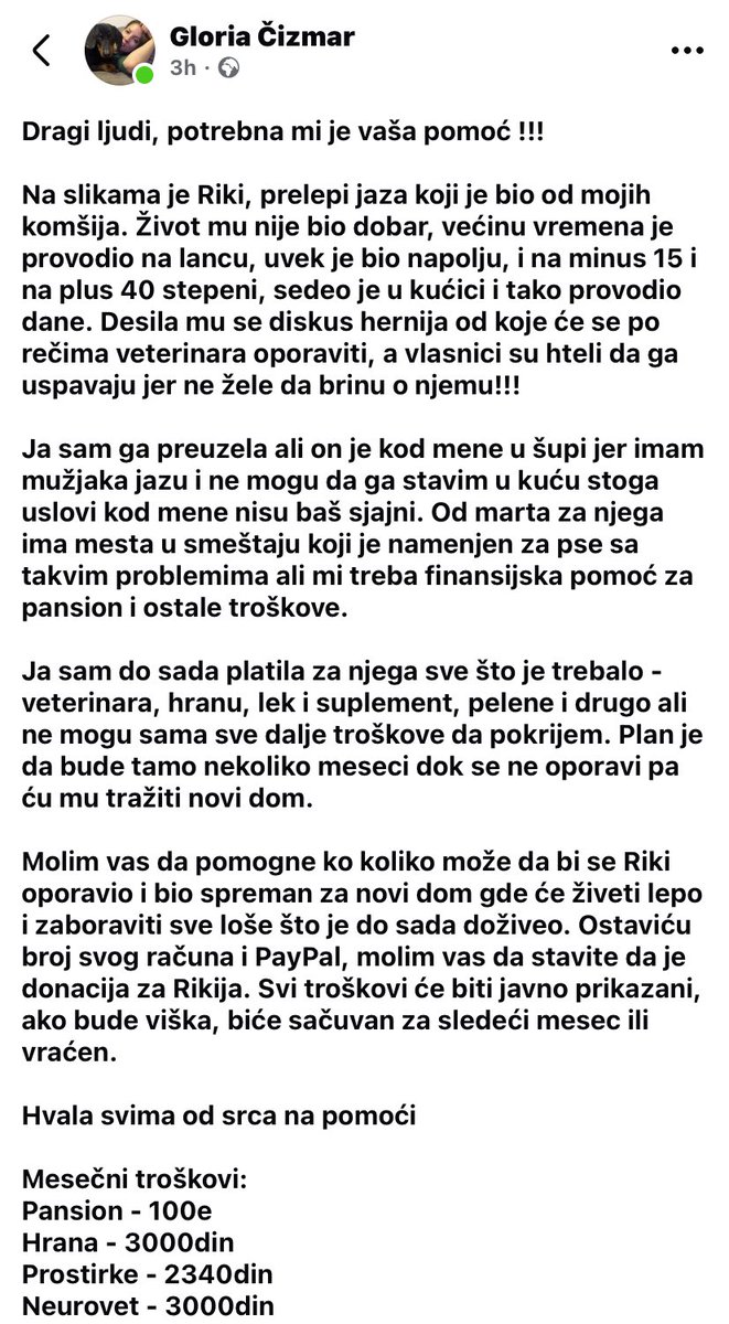 fruska_gorica's tweet photo. Hvala svima koji mogu da pomognu, bar ritvitom. Ja Rikija idem da vidim u petak 😊 To je jedan divan, namučeni pas koji će, nadam se, uskoro živeti u domaćinstvu u kom je beskrajno voljen. https://t.co/rx4VFa3JKW