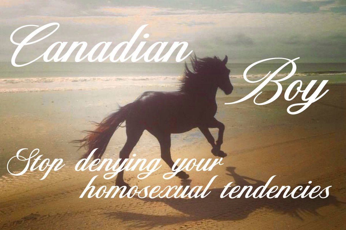 gay mark lee media tweet media