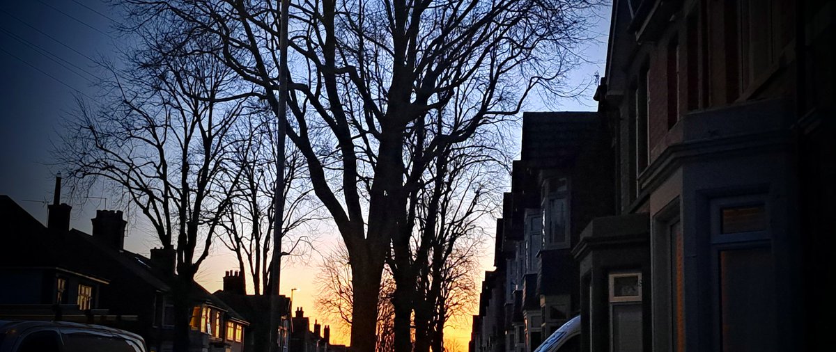 🧡 I do love our Avenues especially with a sunset backdrop, the beautiful trees are also waking up 🧡

#Sunset