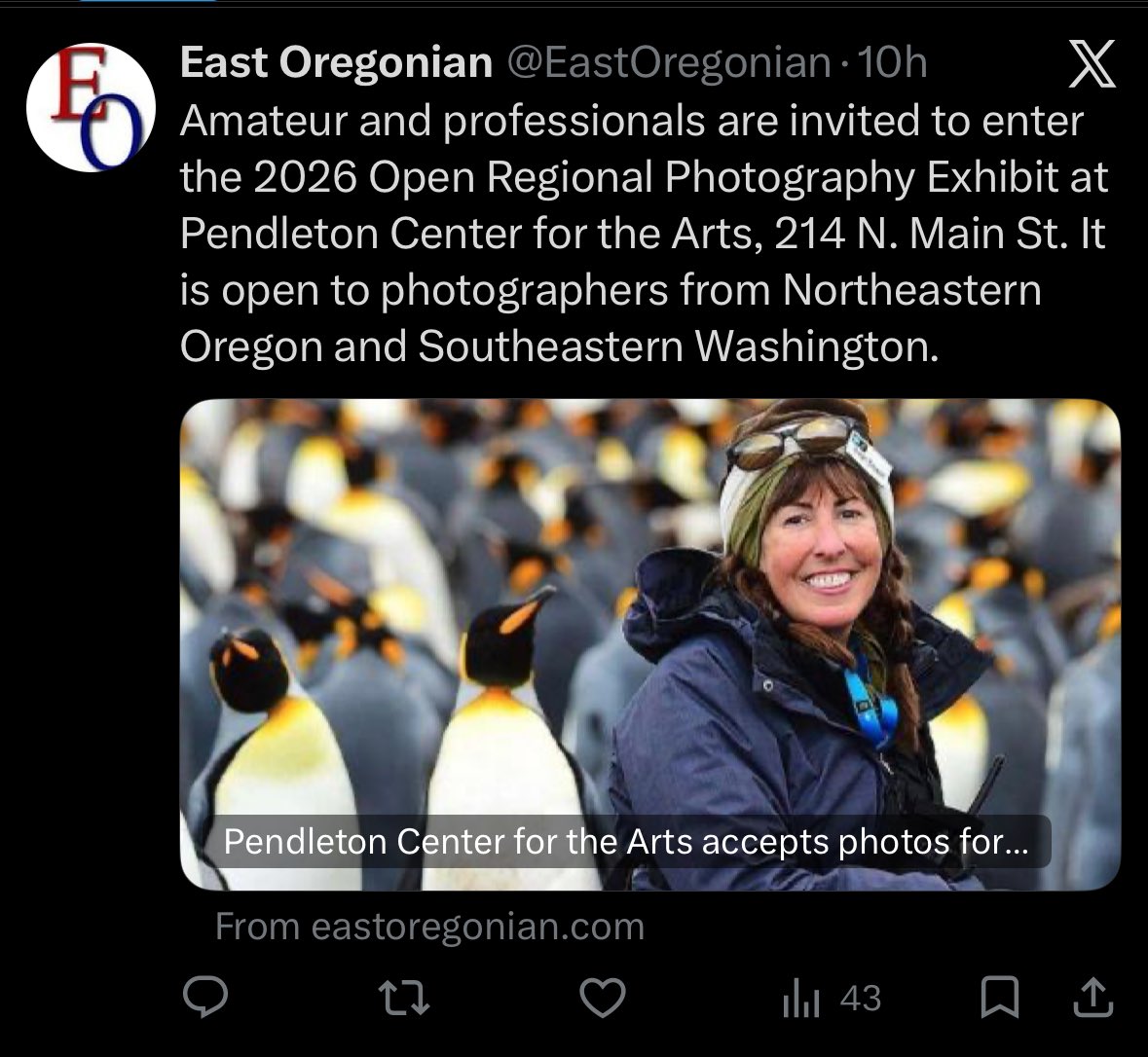 Susan Seubert tweet media