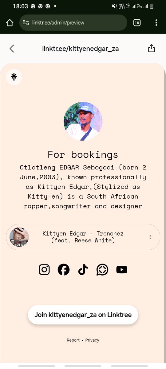 😺MOGOLO tweet media