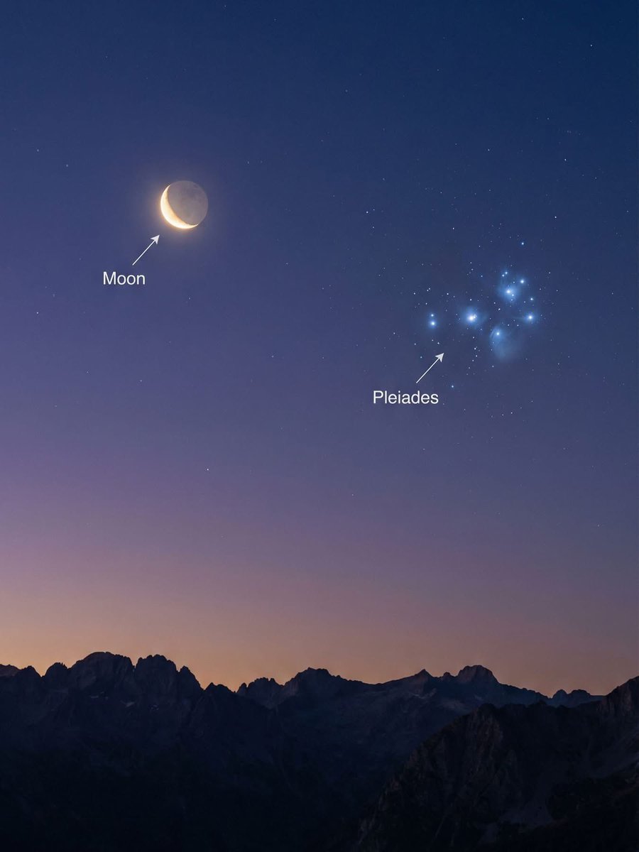 All day Astronomy tweet media