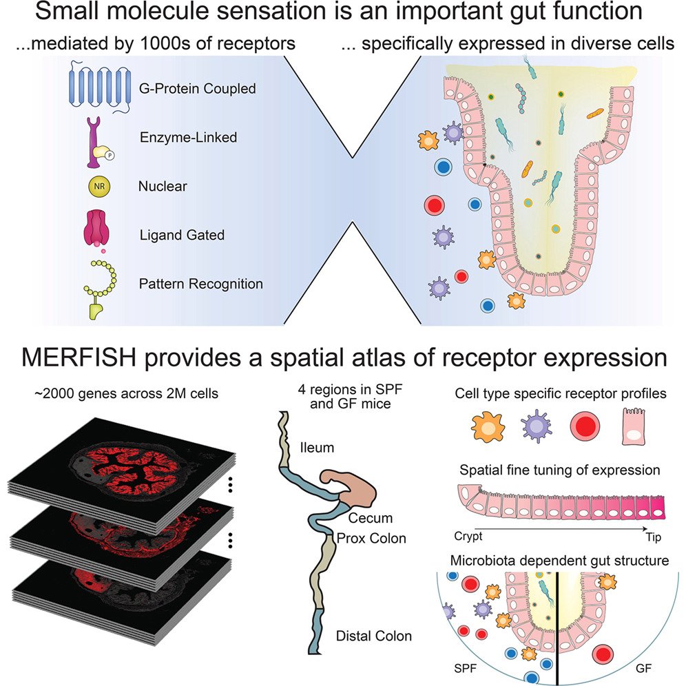 Cell Host & Microbe tweet media