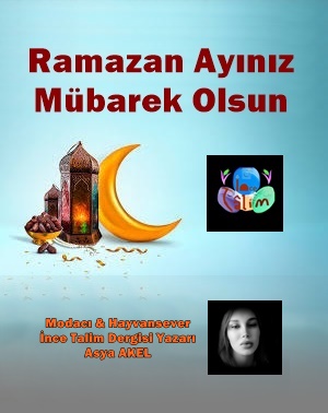incetalim's tweet photo. İnce Talim Dergi Yayın ekibimiz ve yazarlarımızın Ramazan kutlama afişleri ☪

#Mübarek #ramazan #ayı https://t.co/Ts421rK0F0
