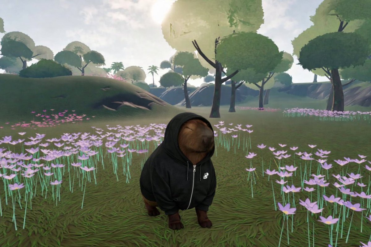 Bored Ape Yacht Club 🍌 tweet media