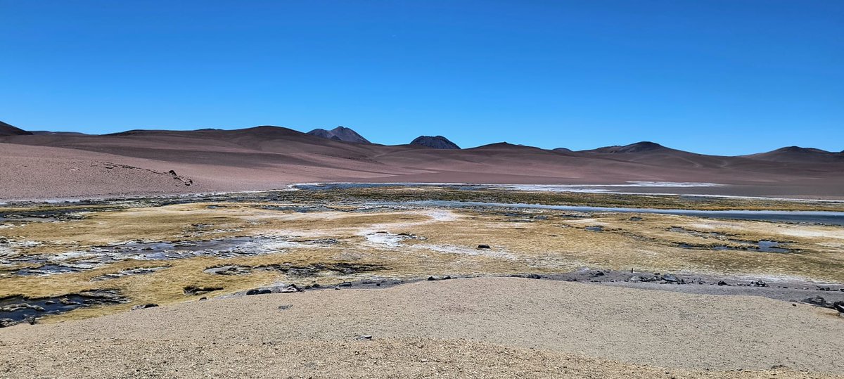 Recuerda su soledad, recuerda donde terminaba la tarde.
©️