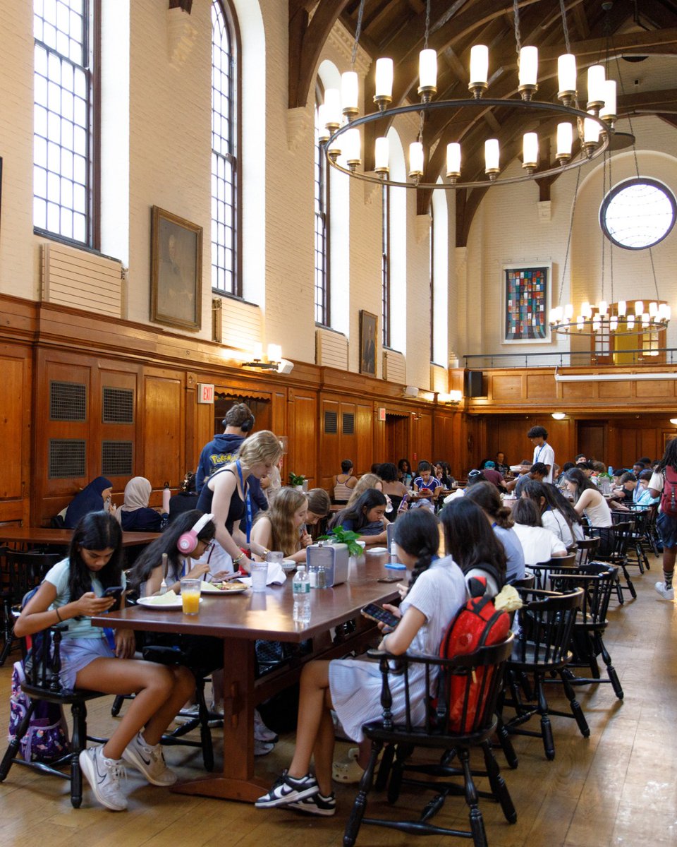 Summer Discovery tweet media