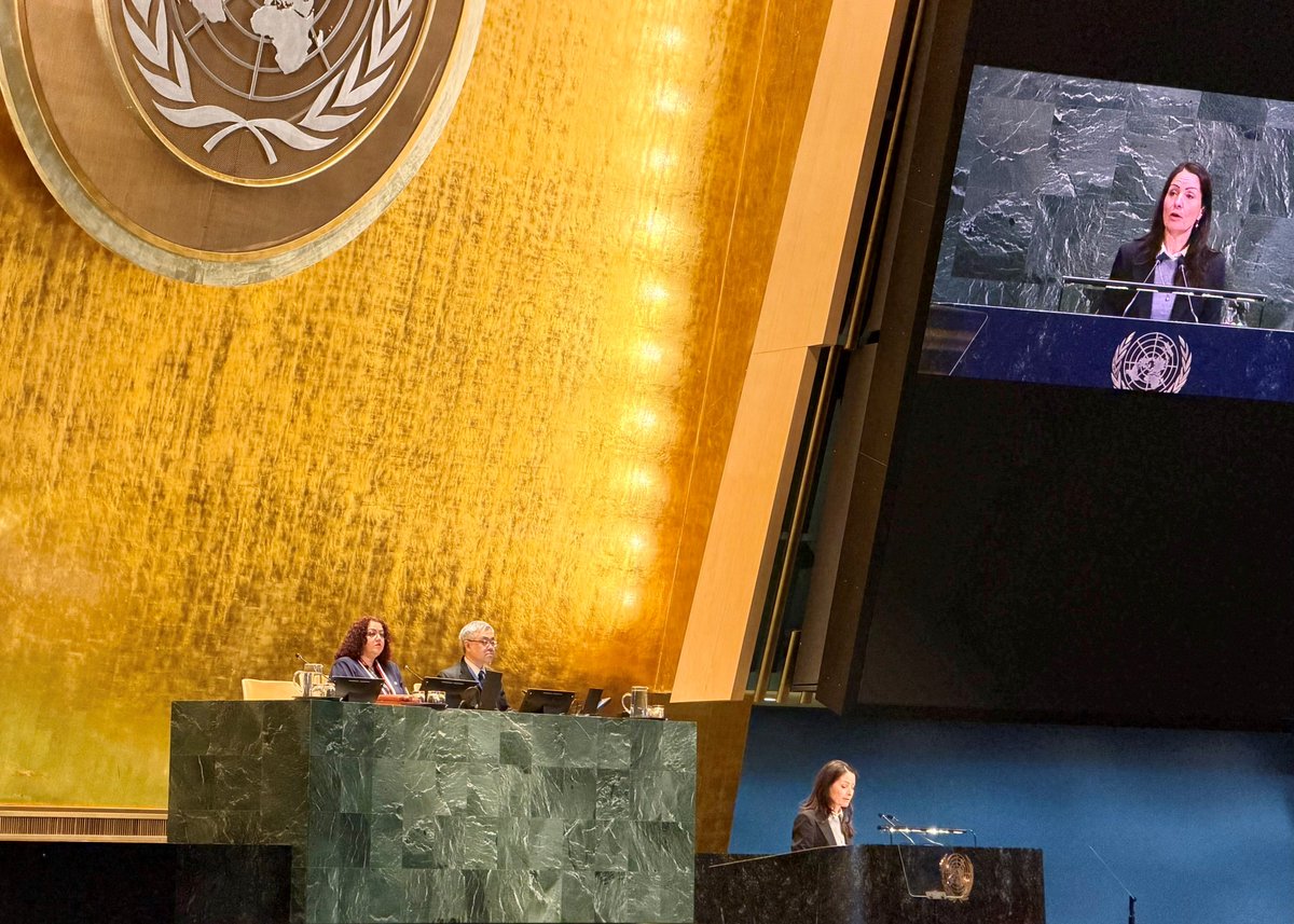 Denmark in UN NY🇩🇰 tweet media