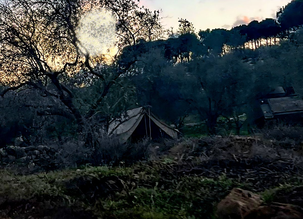 علي شعيب || 🇱🇧 Ali choeib tweet media