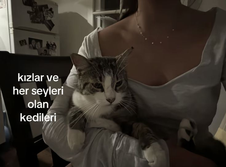 eylül, (@asikbeybi) on Twitter photo 