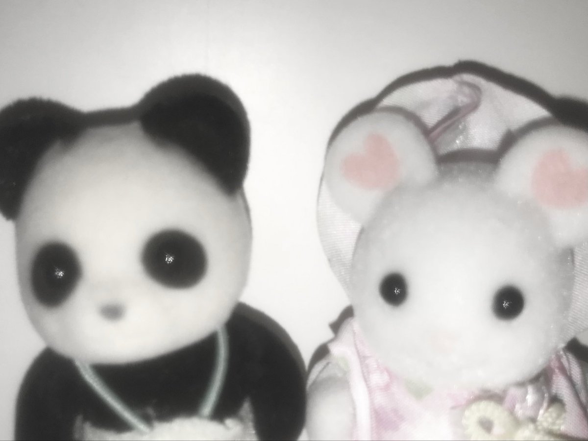 𖦹⩊𖦹 tweet media