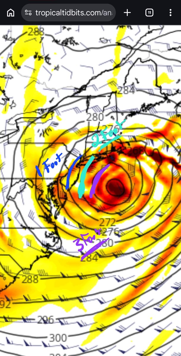 Daniel Williams tweet media
