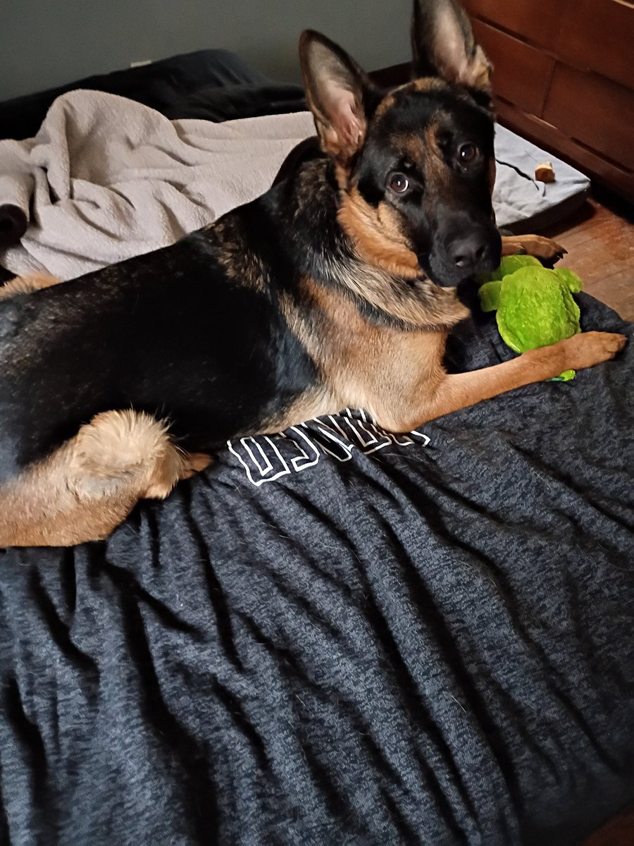 Punk N' Pie tweet media