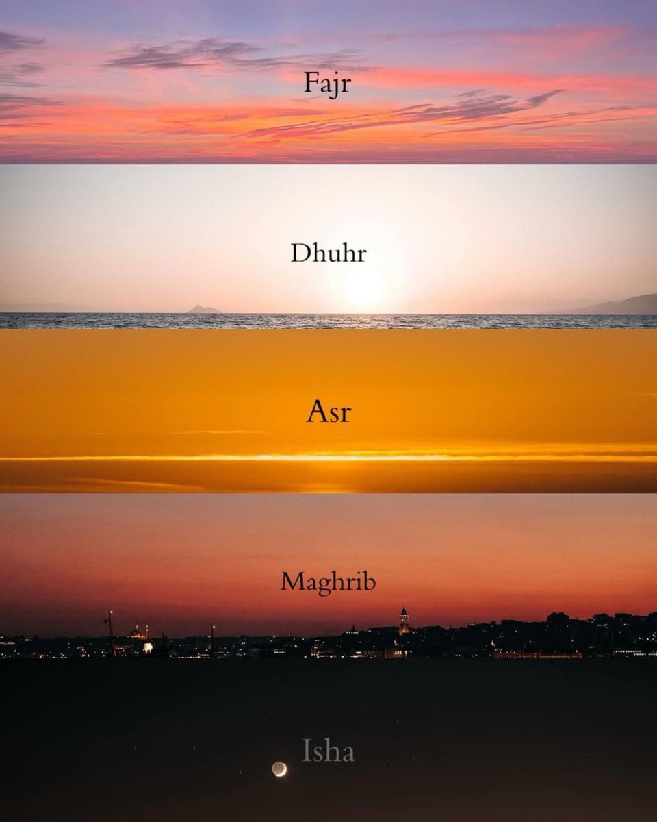 Badr Abu Ahmad 🇸🇦🇵🇸 tweet media