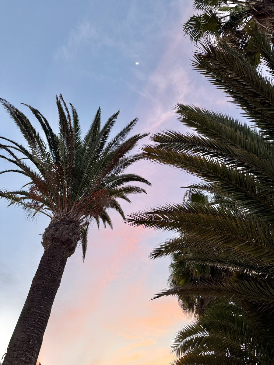 xipteras's tweet image. On Feb 24, 2026, a 50% lit First Quarter moon in Taurus, hovering ~365,000 km from Earth.

The bright silver half-lantern gains momentum in the crisp dark, offering a perfect slice of light for curious eyes before it gracefully sets around midnight. #moonphase #stargazing