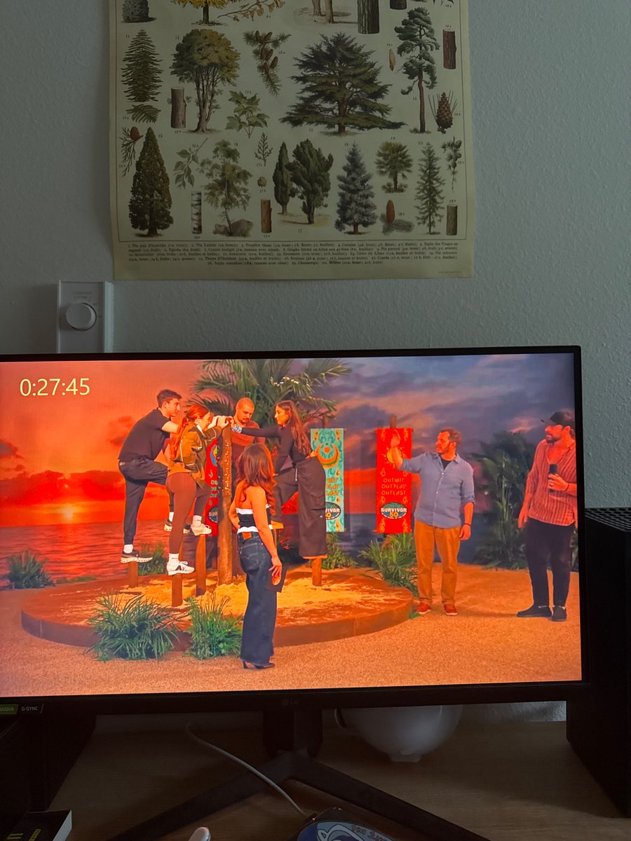 Memphis McFall tweet media