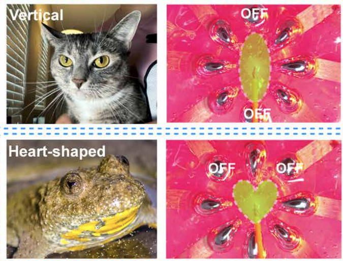 Science Robotics tweet media
