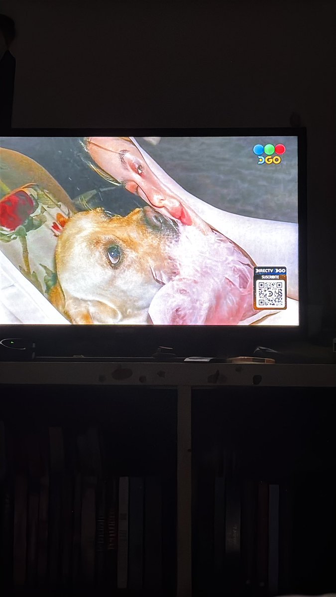 damonangell's tweet photo. La almohada es horrenda . Pobre la
Hija, imagínate ver a tu mamá en un delirio místico, hablando sola y boludeces , mientras llora y dramatiza .  #GranHermano https://t.co/OrrvRge6LT