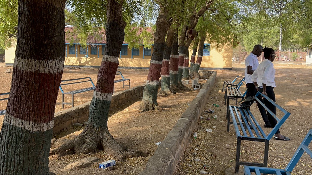 KDL Boboto tweet media