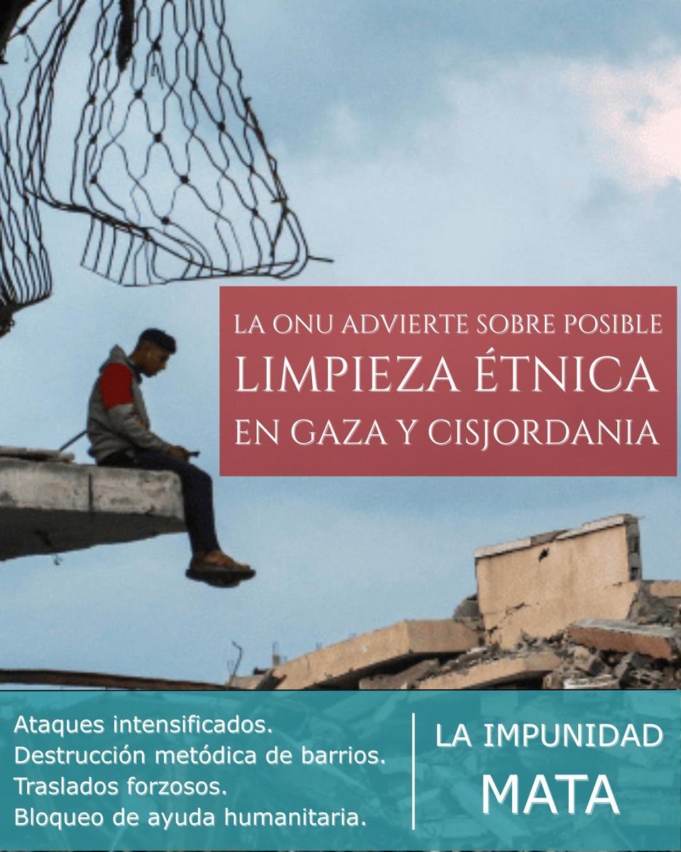 Un informe de Naciones Unidas alerta de lo que es ya evidencia, Israel lleva a cabo una limpieza étnica en #Palestina rumboagaza.org/naciones-unida…