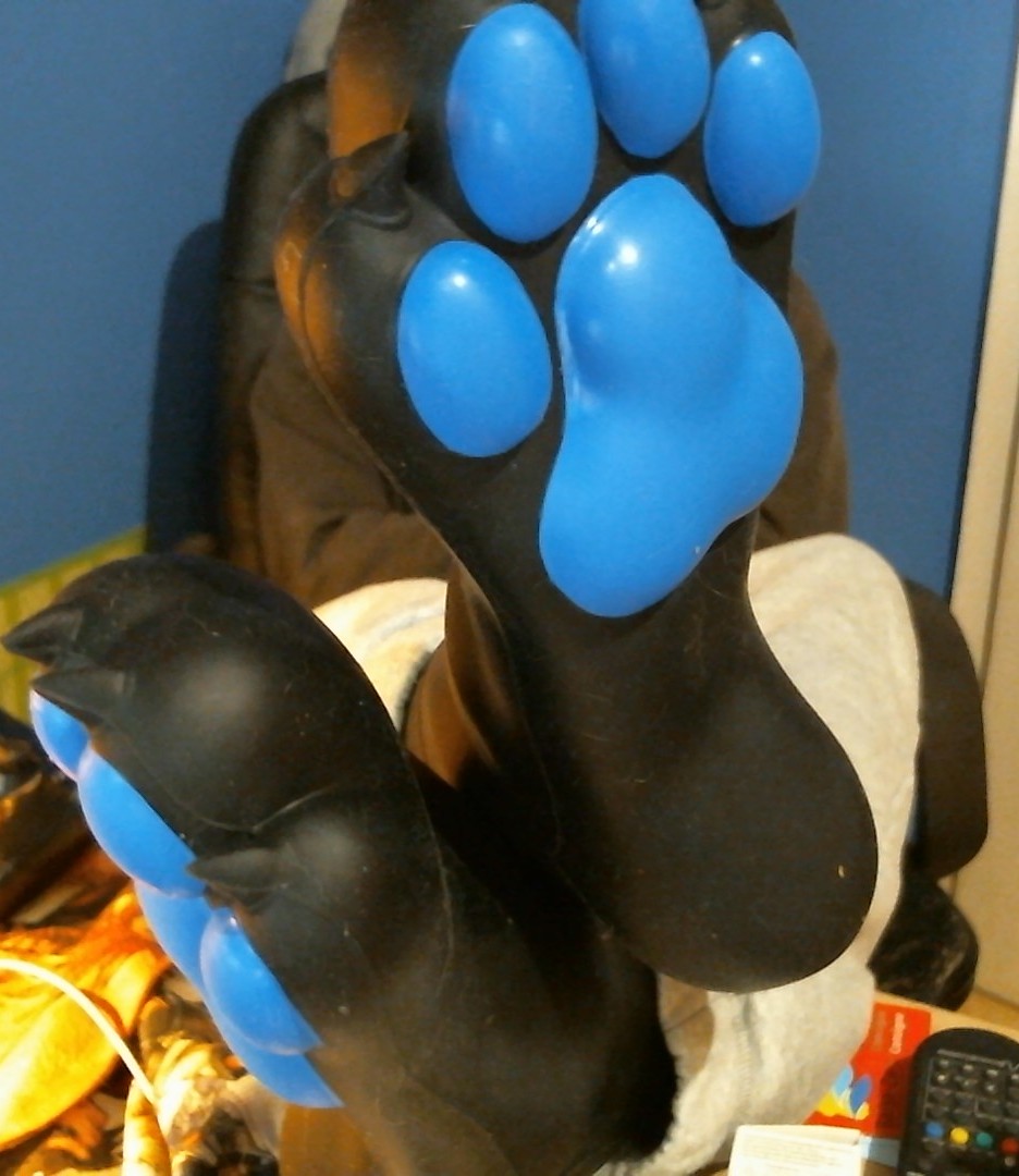 🐺Parcoli🐾 tweet media