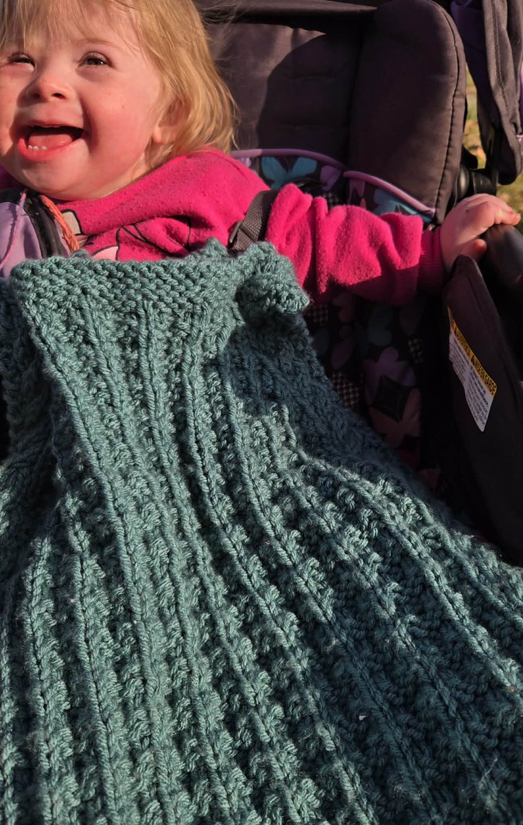 New Pattern! Stroller Sack (Knit)

The blanket baby can't kick off!

stitchwhisperdesigns.com/2026/02/new-pa…