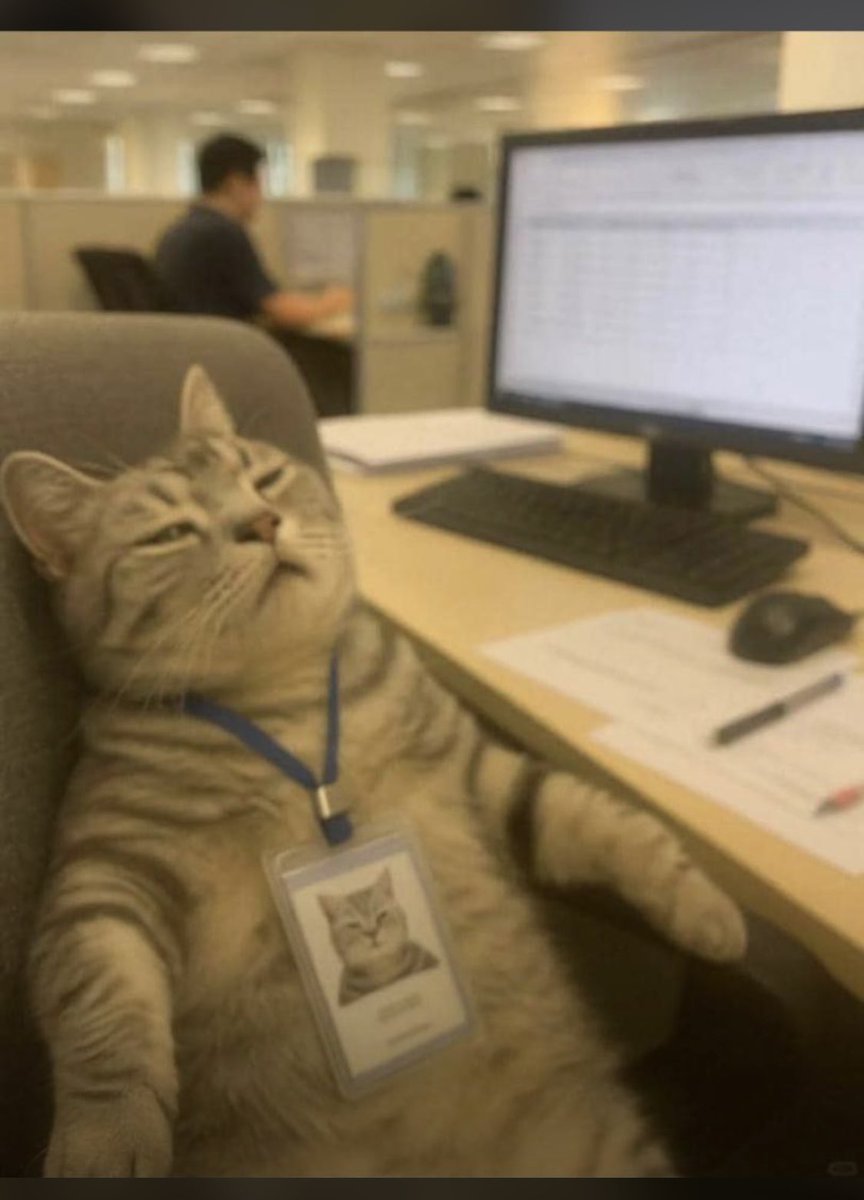 Web3 founders: “We have strong tech.”
Community: silent

Me: So who exactly are we building for? 😭