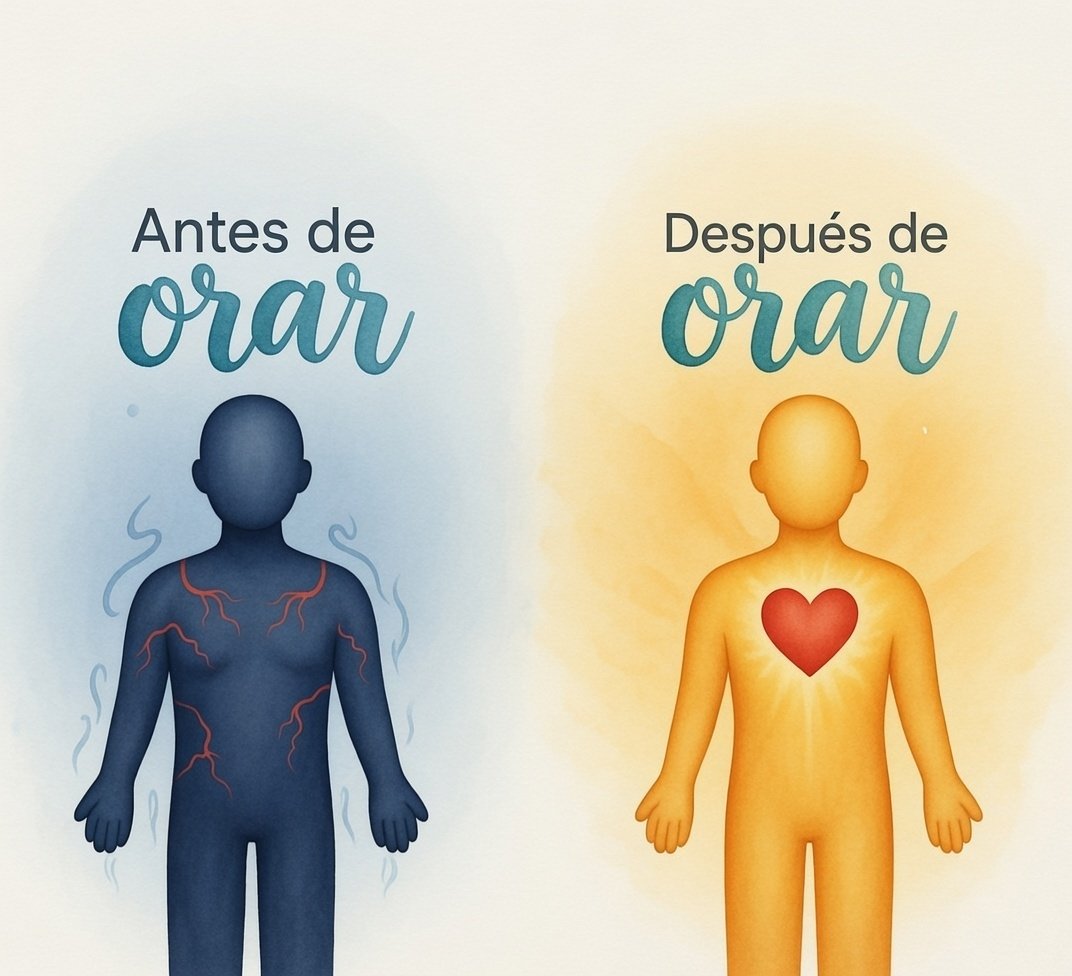 el Siervo (@elsiervo__) on Twitter photo 