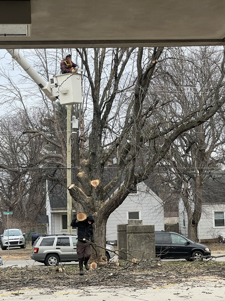 CampTaylorES's tweet photo. Now you see it, now you don't!  Yes, JCPS came and removed one of our trees from the property. The shade will be gone, but safety is our priority. @CampTaylorES @JCPSZone2 https://t.co/tcASTOLJCh